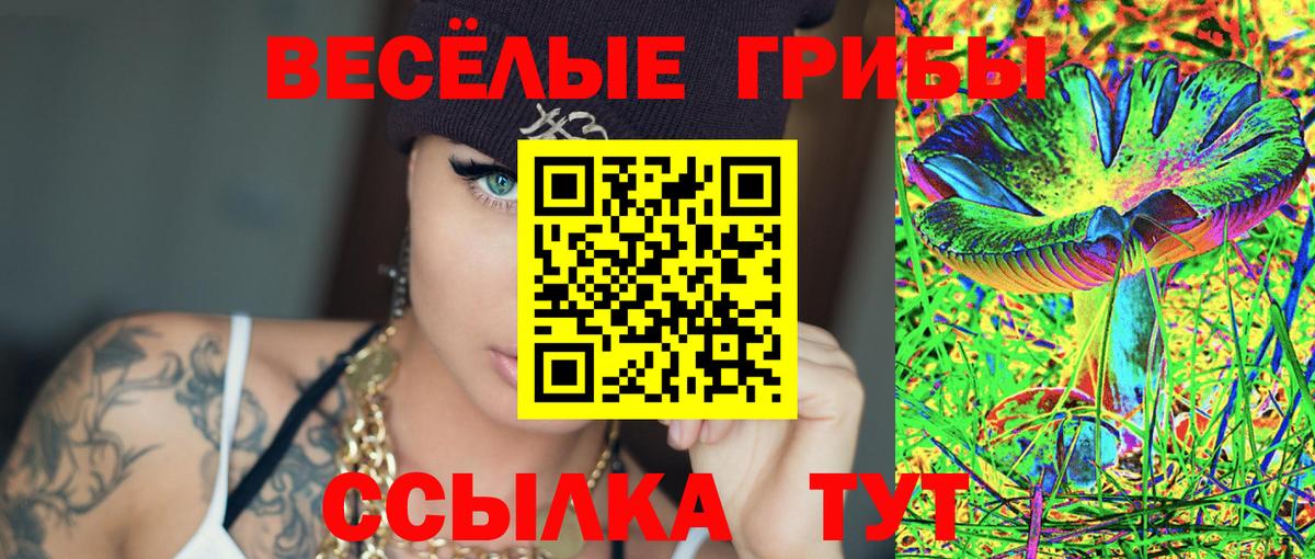 Галлюциногенные грибы Magic Shrooms Ижевск